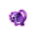 Shadow Raticate